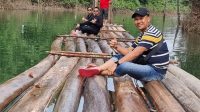 Polres Kampar Bersama Tim Gabungan Amankan Kayu Ilog di Lokasi Wisata Gulamo