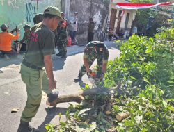 Babinsa Kemlayan, DLH, Limas dan Warga Gotong-royong Pangkas Pohon