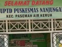 Baru 6 Bulan Honorer Puskesmas Paiker Lulus PPPK,Rekomendasi Siapa ?