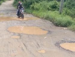 Warga Keluhkan Jalan Penghubung Desa Suban-Mekar Jaya Lamsel