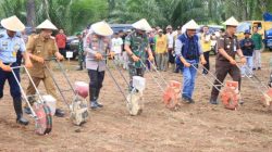 Polda Lampung Dukung Ketahanan Pangan Nasional,Tanam Jagung Serentak 1 Hektar